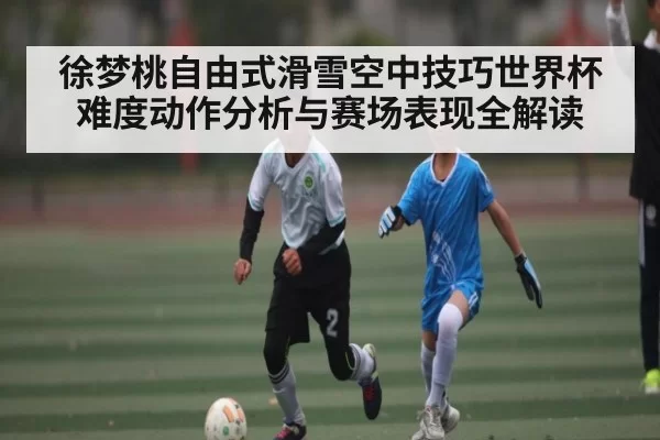 徐梦桃自由式滑雪空中技巧世界杯难度动作分析与赛场表现全解读（dbdianjing）